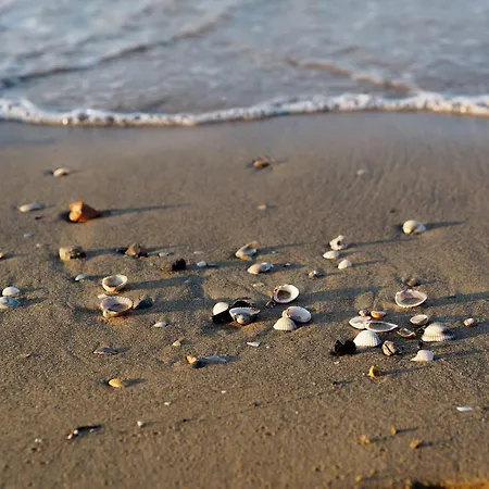 Salt Air And Soft Light Flat In Sunny Apartamento Bibione