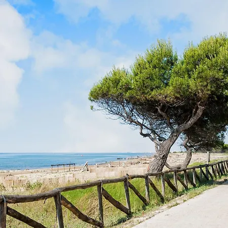 Salt Air And Soft Light Flat In Sunny ביביונה